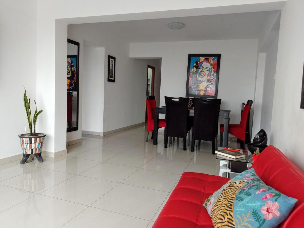 En El Centro Y Hermosa Vista! C Cochera Appartement